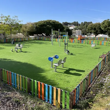 Modern Seaview Nr 805 *