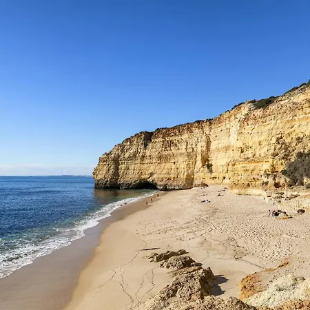 Appartement Modern Seaview Nr 805